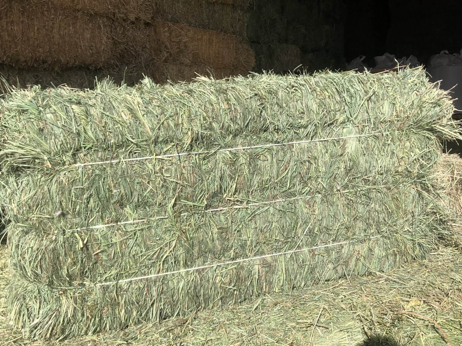 3 String Western Orchard Grass – Pleasant View Farms, Inc.