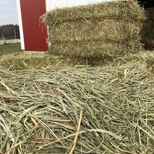 Hay Products Pleasant View Farms Inc